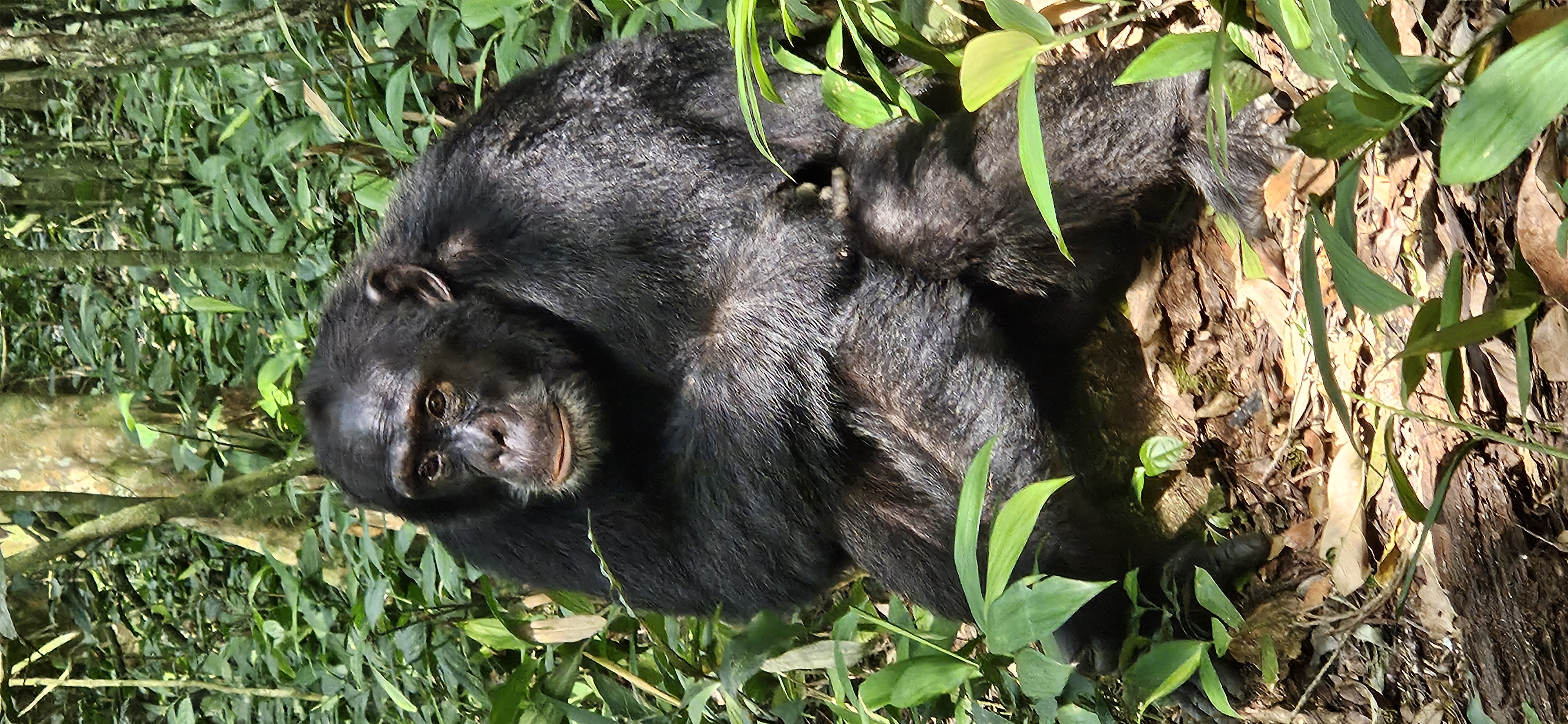 Nathalie Lalonde Berniquez